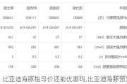 比亚迪海豚指导价还能优惠吗,比亚迪海豚预定量