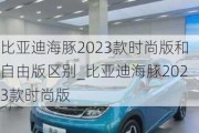 比亚迪海豚2023款时尚版和自由版区别_比亚迪海豚2023款时尚版