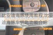 比亚迪海豚使用教程,比亚迪海豚车钥匙功能介绍