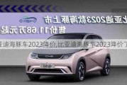 比亚迪海豚车2023降价,比亚迪海豚车2023降价了吗