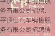 平顶山汽车销售服务有限公司招聘,平顶山汽车销售服务有限公司招聘信息