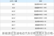 新能源比亚迪电动汽车价格及图片及价格-新能源汽车价格表比亚迪