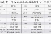 特斯拉一年保养多少钱-特斯拉1万公里保养项目