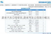 蔚来汽车公司全名,蔚来汽车公司简介概况