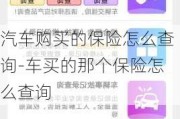 汽车购买的保险怎么查询-车买的那个保险怎么查询