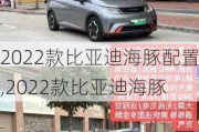 2022款比亚迪海豚配置,2022款比亚迪海豚