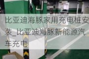 比亚迪海豚家用充电桩安装_比亚迪海豚新能源汽车充电