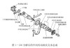 汽车传动轴的类型-分析汽车传动轴的功用和材料