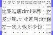 比亚迪唐dmi保养一次多少钱,比亚迪唐dm保养一次大概多少钱