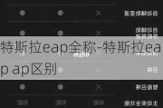 特斯拉eap全称-特斯拉eap ap区别