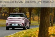 比亚迪海豚纯电动2021款续航里程_比亚迪海豚2021续航