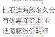 比亚迪海豚多久会有优惠降价,比亚迪海豚涨价明细