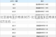 比亚迪电车价格表30万-比亚迪电车价格表30万左右