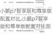 小鹏p7智享版和尊享版配置对比,小鹏p7智享版和尊享版配置对比图