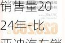 比亚迪汽车销售量2024年-比亚迪汽车销售量