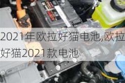 2021年欧拉好猫电池,欧拉好猫2021款电池