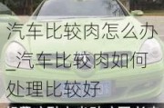 汽车比较肉怎么办_汽车比较肉如何处理比较好