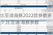 比亚迪海豚2022款参数多少,比亚迪 海豚参数