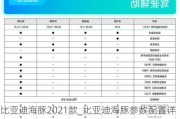 比亚迪海豚2021款_比亚迪海豚参数配置详解