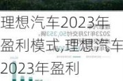 理想汽车2023年盈利模式,理想汽车2023年盈利