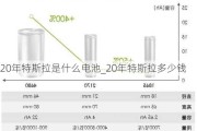 20年特斯拉是什么电池_20年特斯拉多少钱