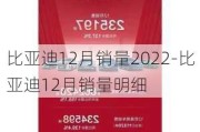 比亚迪12月销量2022-比亚迪12月销量明细