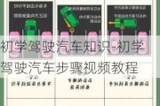 初学驾驶汽车知识-初学驾驶汽车步骤视频教程