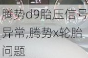 腾势d9胎压信号异常,腾势x轮胎问题