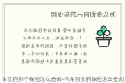 车买的那个保险怎么查询-汽车购买的保险怎么查询