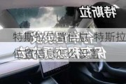 特斯拉位置信息-特斯拉位置信息怎么设置