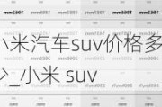 小米汽车suv价格多少_小米 suv