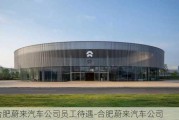 合肥蔚来汽车公司员工待遇-合肥蔚来汽车公司