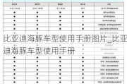 比亚迪海豚车型使用手册图片_比亚迪海豚车型使用手册