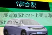 比亚迪海豚hicar-比亚迪海豚hicar在哪