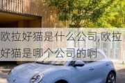 欧拉好猫是什么公司,欧拉好猫是哪个公司的啊