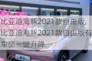 比亚迪海豚2021款自由版,比亚迪海豚2021款自由版有车窗一键升降