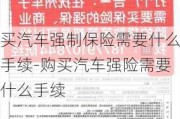 买汽车强制保险需要什么手续-购买汽车强险需要什么手续