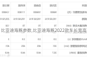 比亚迪海豚参数,比亚迪海豚2022款车长宽高