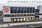 武汉小米汽车体验店-小米汽车选址武汉