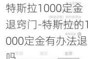 特斯拉1000定金退窍门-特斯拉的1000定金有办法退吗