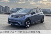 比亚迪海豚缺点2022款,比亚迪海豚咋样