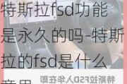 特斯拉fsd功能是永久的吗-特斯拉的fsd是什么意思