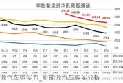 新能源汽车购买力_新能源汽车购买分析