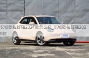 长城欧拉好猫2021款怎么样_长城欧拉好猫2020款