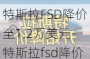 特斯拉FSD降价至1.2万美元-特斯拉fsd降价