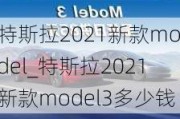 特斯拉2021新款model_特斯拉2021新款model3多少钱