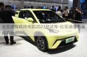 比亚迪海鸥纯电动2023款试驾-比亚迪海豹最新消息