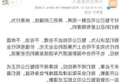 小米汽车黑科技被嘲讽-小米汽车黑科技