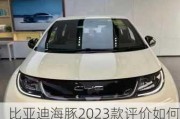 比亚迪海豚2023款评价如何_比亚迪海豚2023款评价如何看