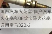 国产汽车火花塞-国产汽车火花塞和08款宝马火花塞通用宝马320发